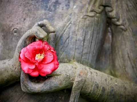Để sống một cuộc đời an vui, hãy từ bỏ 5 điều sân hận này