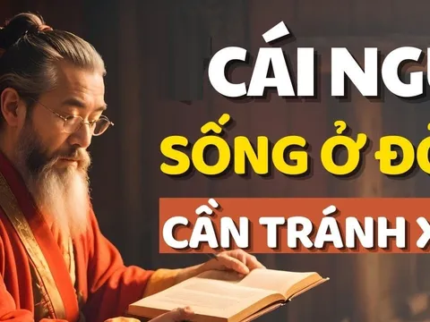 Đời người có 4 cái ngu: Bàn về cái ngu lớn nhất, bạn có mắc không?