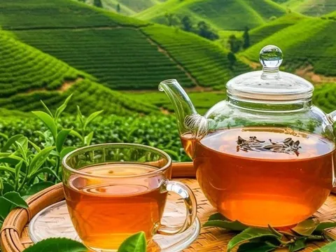 7 người nên tránh hoặc hạn chế uống trà tươi, chưa thấy Lợi đã thấy Hại