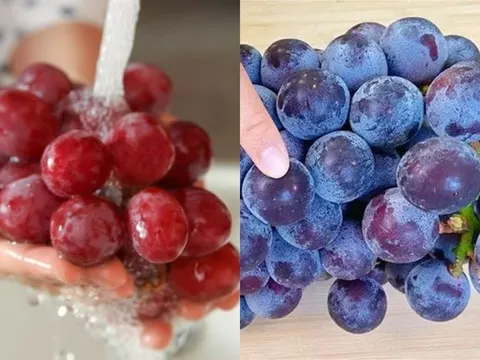 Bí quyết rửa nho khiến trứng sâu tự rời, sạch dư lượng thuốc trừ sâu, ăn thoải mái