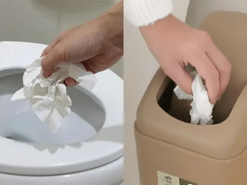 Giấy vệ sinh: Bỏ thùng rác hay xả bồn cầu – Chuyên gia chỉ ra thói quen nhiều người đang làm sai