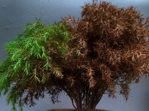 Tổ tiên báo mộng: 3 dấu hiệu xuất hiện trong nhà chẳng phải điềm lành, xem lại ngay kẻo hao tài tổn lộc