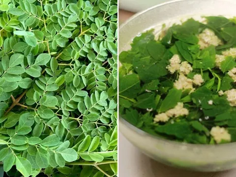 Loại rau có lượng canxi cao gấp 4 lần sữa, thường bị nhầm với rau ngót: Đem nấu canh vừa ngon vừa bổ
