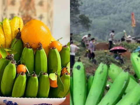 Tháng 7 âm lịch, tảo mộ người thân tránh mang chuối ra thắp hương, người xưa đã dặn, vì sao lại thế?
