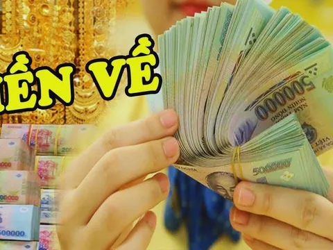 Tình Tiền chẳng thiếu: 3 con giáp rơi trúng hũ Vàng, tương lai dễ thành triệu phú