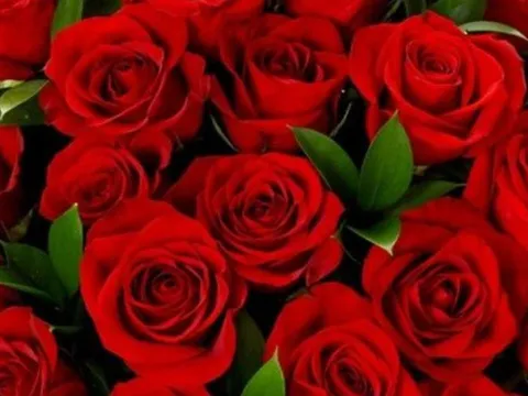 Top 3 con giáp hôn nhân viên mãn như Trúng Số Đặc Biệt, càng già càng hạnh phúc, gia đình giàu có