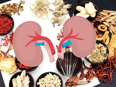 Thuốc bổ thận không phải cứ dùng là tốt, cẩn thận hại còn hơn lợi