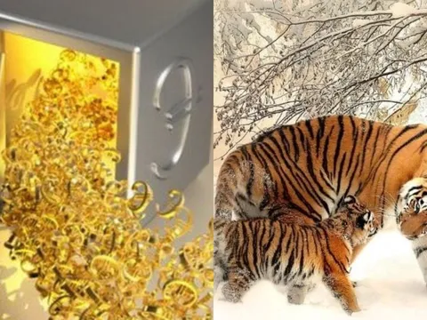 4 con giáp thứ Tư (20/8) Thần Tài ghé thăm, Thứ 5 tiền bạc rủng rỉnh, sang tháng 7 âm danh lợi song toàn