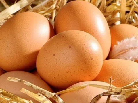 5 thời điểm ăn trứng vào sẽ thấy Hại hơn Lợi