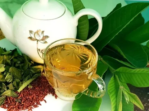 5 người tuyệt đối không uống nước lá ổi, càng uống càng sinh bệnh