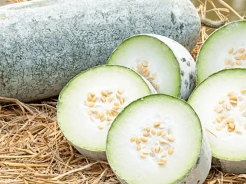 Ăn bí đao theo 4 cách này, hỏng thận lúc nào không biết: Điều số 1 nhiều người tưởng tốt