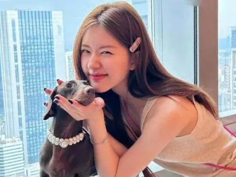 Nối gót Thùy Tiên: Nữ diễn viên nổi tiếng bị “xoá sổ” vì nghi vấn trục lợi livestream bán hàng