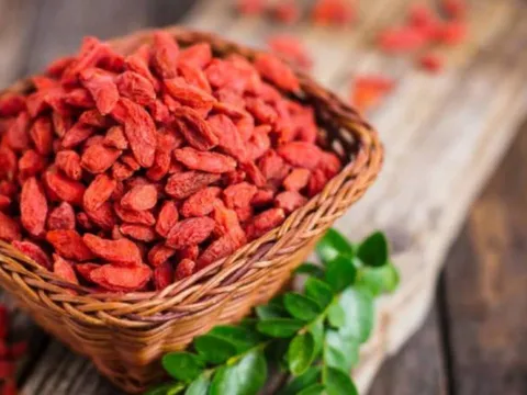 Những ai không nên ăn kỷ tử