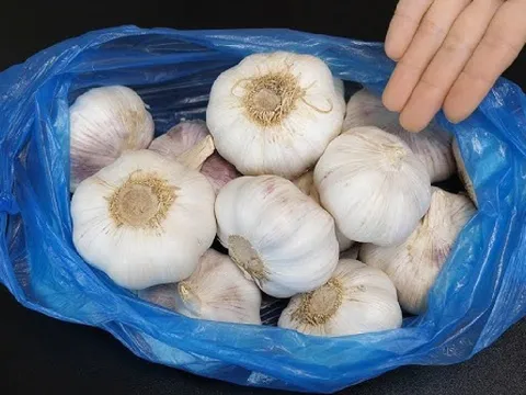 Mẹo bảo quản tỏi không cần tủ lạnh, cả năm không mọc mầm, mốc hỏng