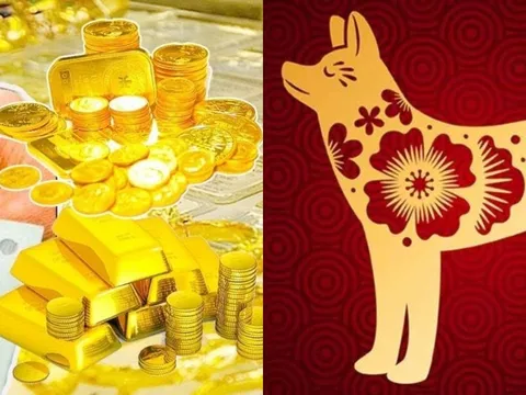 Từ tuần sau (25/8): 3 con giáp vận thế thăng hoa, may mắn phủ đầu, tiền đổ về như mưa rào đến cuối năm