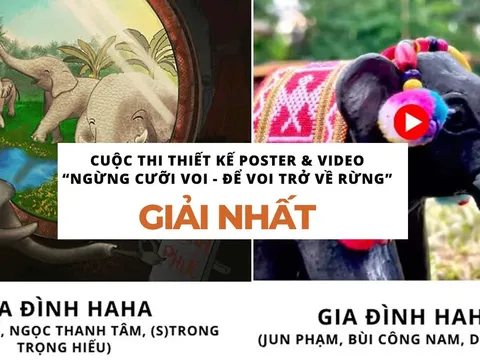 Dàn cast "Gia đình Haha" lập cú đúp giải nhất cuộc thi "Ngừng cưỡi voi - Để voi trở về rừng"