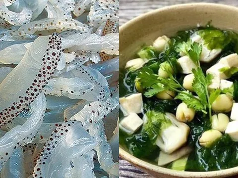 6 hải sản mùa hè cực bổ cho nam giới: Chợ Việt bán đầy mà nhiều người chưa biết tận dụng