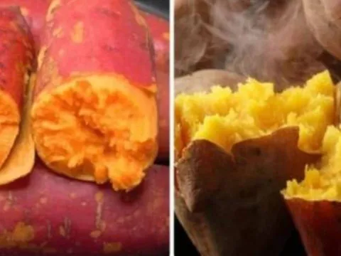 Ăn khoai lang: 3 nhóm người nên tránh kẻo mang thêm bệnh không ngờ