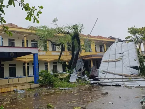 Cập nhật hình ảnh những thiệt hại ban đầu mà bão số 5 (bão Kajiki) gây ra cho các địa phương
