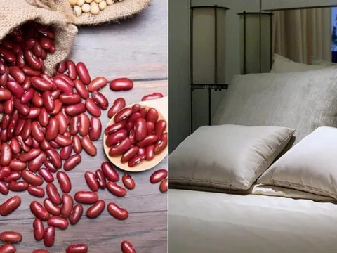 Tháng 7 cô hồn, có thờ có thiêng: Đặt 4 vật dưới gối, xui xẻo tránh xa, của cải tự đến