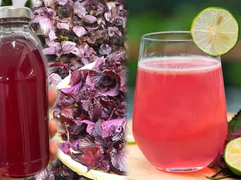 Uống nước tía tô chanh, cơ thể nhận được lợi ích tuyệt vời này