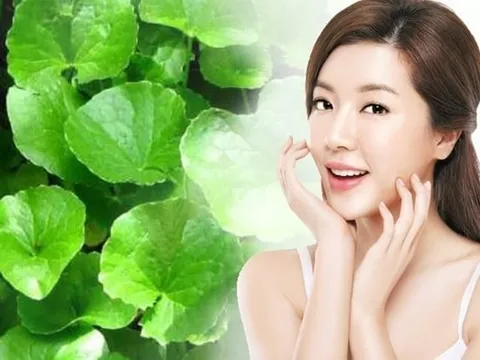 4 công dụng làm đẹp tuyệt vời từ loại rau rẻ tiền bán đầy ngoài chợ