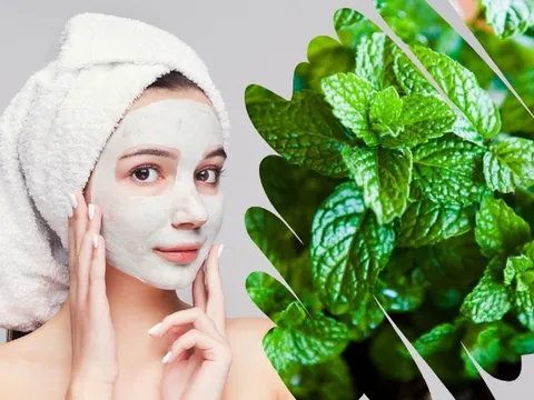 Bạc hà – loại thảo mộc quen thuộc là "thần dược" với làn da