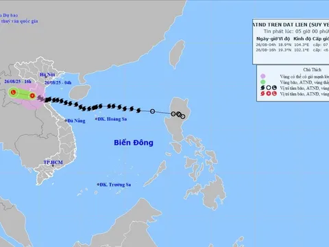 Cập nhật Bão số 5 tới sáng ngày 26/8, đã suy yếu thành áp thấp, dự báo mưa dông hôm nay thế nào?