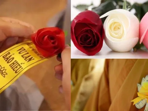 Tháng 7 âm lịch-Vu lan báo hiếu, cài hoa hồng trắng, hồng, đỏ, vàng lên ngực có ý nghĩa gì?