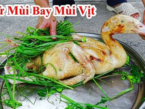 Vịt đầy lông măng thịt mãi không sạch: Vò nắm lá này thả vào chậu nước, 5 phút sạch bung