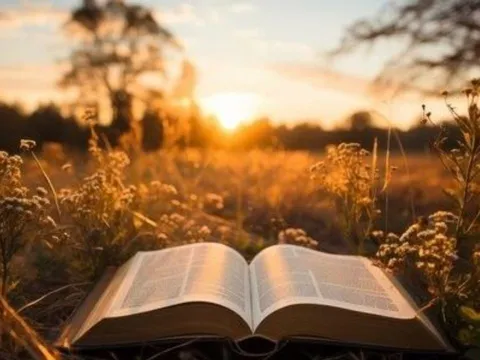 Người xưa dạy: Nỗi đau đều tự do mình gây ra, ai có 3 điểm này thì sẽ luôn đau khổ, bỏ ngay