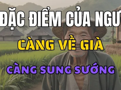 Người có 3 điều này càng già càng giàu có: Kiểm tra ngay xem bạn có không