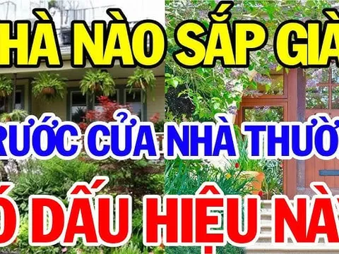 4 dấu hiệu ngôi nhà sắp phát tài