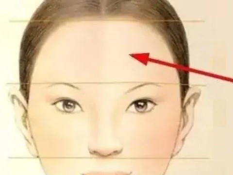 Phụ nữ sở hữu 5 đặc điểm khuôn mặt này thường dễ thành công, sự nghiệp thăng hoa