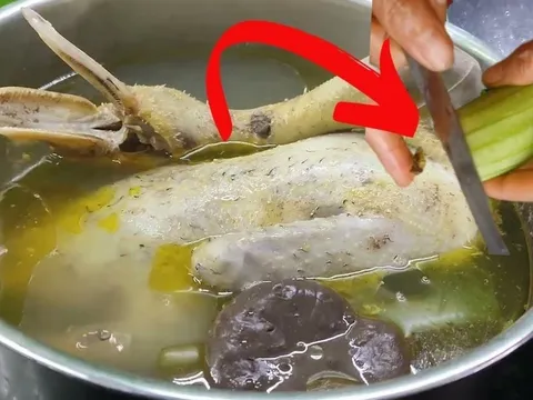 Cắt nhỏ quả này luộc cùng thịt vịt: Khử hết hôi, thịt chín mềm ngọt gấp 5 lần