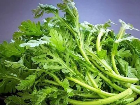 Rau này thường có vào mùa đông, giàu dinh dưỡng, thơm ngon, thanh lọc cơ thể chẳng thua kém bồ công anh