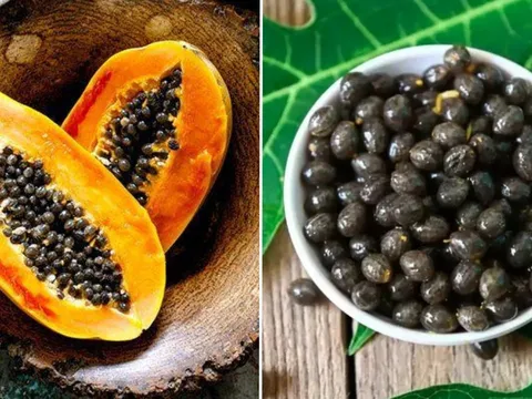 Hạt đu đủ là dược liệu quý, có 7 lợi ích tuyệt vời