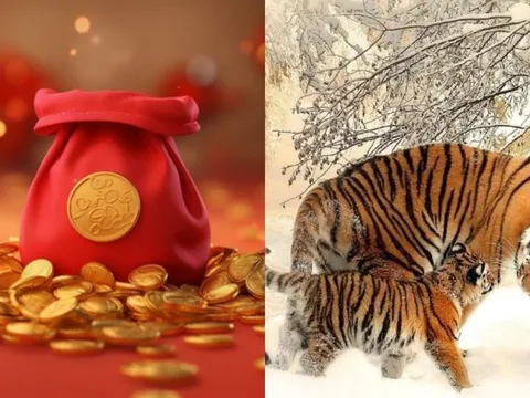 3 ngày cuối tuần (5/9-7/9): 3 con giáp ra ngõ giẫm phải tiền, Thứ Bảy - Chủ Nhật Thần Tài đuổi theo đến cùng