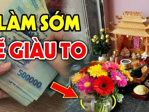 Cúng Rằm tháng 7 đừng mãi chọn hoa cúc, 5 loại hoa này Tổ tiên gật gù ưng ý