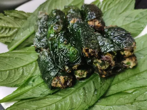 Lấy lá này cuốn chả ngon gấp 10 lần chả lá lốt, vừa thơm ngon lại rất tốt cho xương khớp