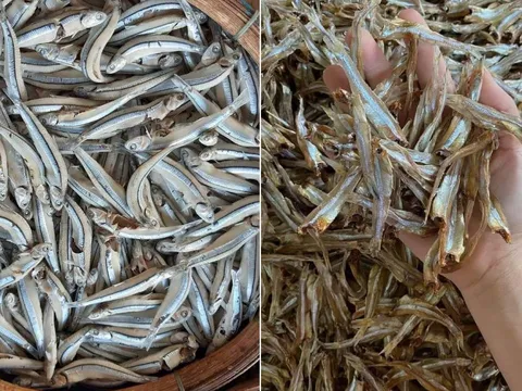 3 loại cá giàu omega-3, ít 'ngậm' thủy nhân, tốt không kém cá hồi, chợ Việt vừa nhiều vừa rẻ