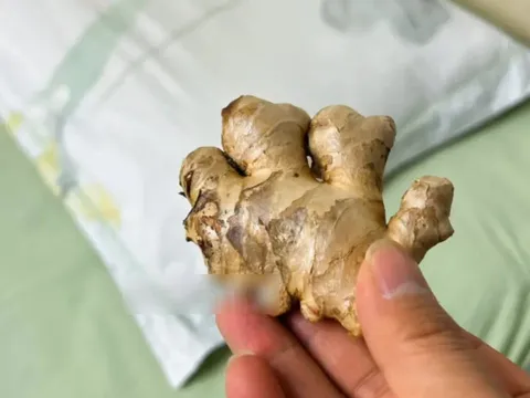 Đặt một củ gừng ở đầu giường, tốt cho cả nam và nữ, ai cũng nên biết