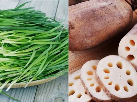 Người xưa nói: "Nam không thể thiếu lá hẹ, nữ không thiếu ngó sen", thực hư ra sao?