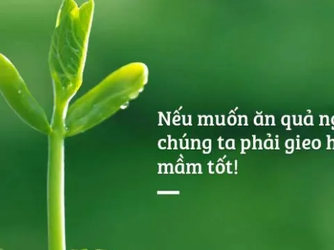 Nhân quả ở đời vốn rất chính xác và rõ ràng, gieo nhân nào thì gặt quả ấy