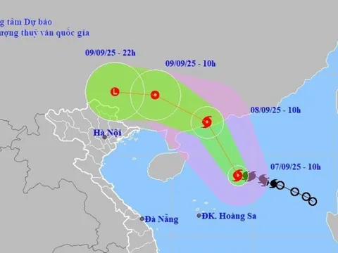 Tin Bão Số 7(Bão Tapah): Cảnh báo mưa lớn trên diện rộng