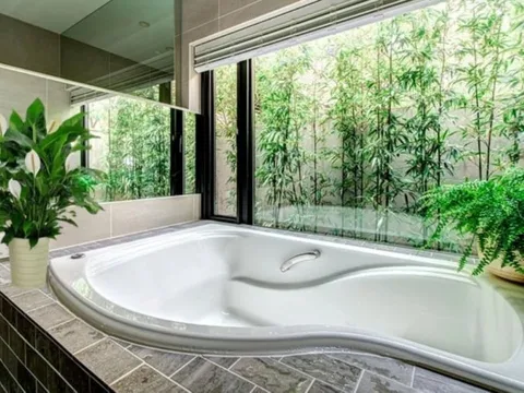 3 vị trí đặt cây xanh trong nhà giúp gia chủ giàu có thịnh vượng, làm ăn phát tài, phát lộc