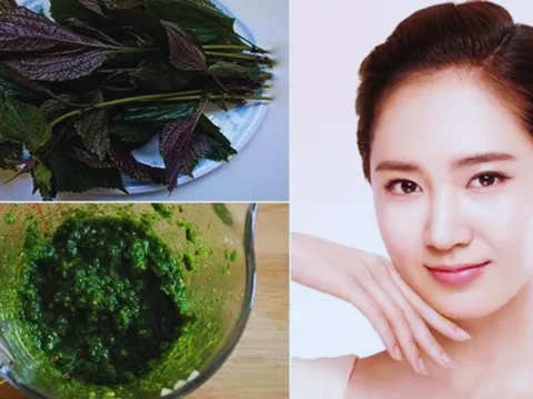 Cách làm trắng da tự nhiên bằng nước lá tía tô, da chắc khỏe, mịn màng, không nổi mụn
