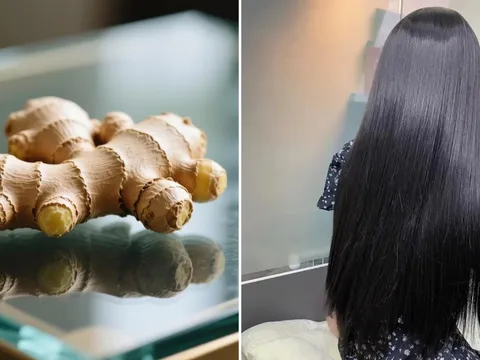 Gội đầu bằng nước gừng nấu với loại lá này, tóc giảm rụng, tóc con mọc ngày càng nhiều