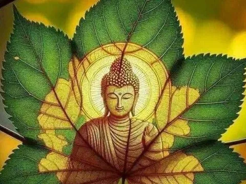 5 biểu hiện cho thấy một người có cuộc sống tốt lành, Phúc đức, càng già càng giàu có hạnh phúc