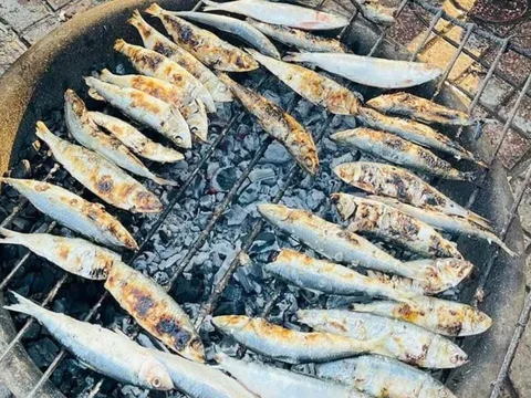Loại cá này giàu Omega-3, rẻ hơn cá hồi àm không lo ngậm thủy ngân, lại bán đầy chợ Việt